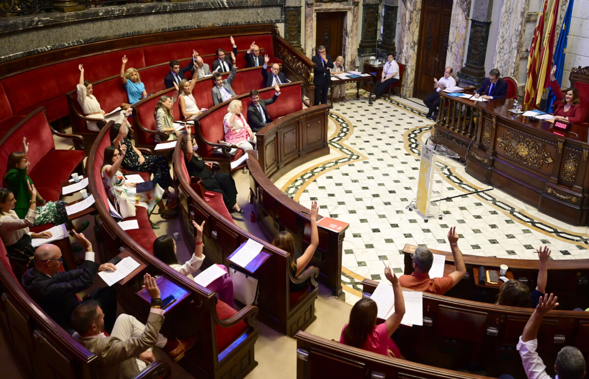 Pleno de organización del Ayuntamiento de Valencia